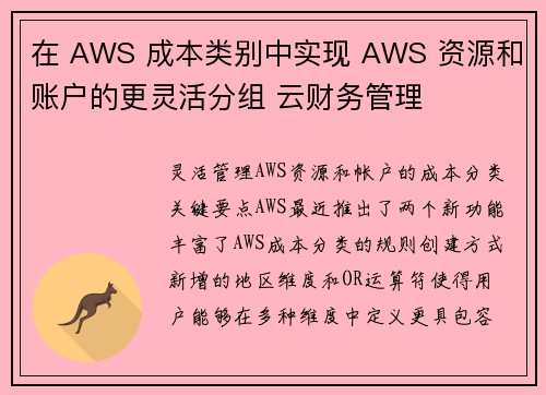 在 AWS 成本类别中实现 AWS 资源和账户的更灵活分组 云财务管理