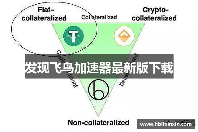 发现飞鸟加速器最新版下载