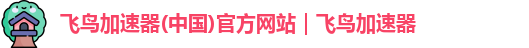 飞鸟加速器最新版下载